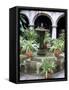 One of Many Lovely Garden Courtyards in Old Havana, Havana, Cuba, West Indies, Central America-R H Productions-Framed Stretched Canvas