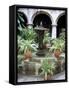 One of Many Lovely Garden Courtyards in Old Havana, Havana, Cuba, West Indies, Central America-R H Productions-Framed Stretched Canvas