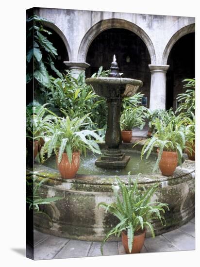 One of Many Lovely Garden Courtyards in Old Havana, Havana, Cuba, West Indies, Central America-R H Productions-Stretched Canvas