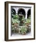 One of Many Lovely Garden Courtyards in Old Havana, Havana, Cuba, West Indies, Central America-R H Productions-Framed Photographic Print