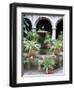 One of Many Lovely Garden Courtyards in Old Havana, Havana, Cuba, West Indies, Central America-R H Productions-Framed Photographic Print