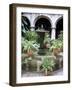 One of Many Lovely Garden Courtyards in Old Havana, Havana, Cuba, West Indies, Central America-R H Productions-Framed Photographic Print