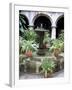 One of Many Lovely Garden Courtyards in Old Havana, Havana, Cuba, West Indies, Central America-R H Productions-Framed Photographic Print