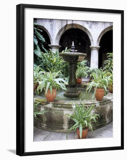 One of Many Lovely Garden Courtyards in Old Havana, Havana, Cuba, West Indies, Central America-R H Productions-Framed Photographic Print