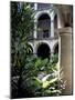 One of Many Lovely Garden Courtyards in Old Havana, Havana, Cuba, West Indies, Central America-R H Productions-Mounted Photographic Print