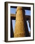 One of the 102 Columns in the Great Hypostyle Hall, Temple of Karnac, Karnac, Egypt, North Africa-Ken Gillham-Framed Photographic Print