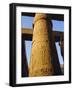 One of the 102 Columns in the Great Hypostyle Hall, Temple of Karnac, Karnac, Egypt, North Africa-Ken Gillham-Framed Photographic Print