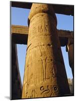 One of the 102 Columns in the Great Hypostyle Hall, Temple of Karnac, Karnac, Egypt, North Africa-Ken Gillham-Mounted Photographic Print