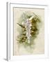 One of the Christmas Tree Fairy's Duties is to Light the Candles on the Tree-null-Framed Art Print