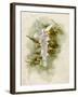 One of the Christmas Tree Fairy's Duties is to Light the Candles on the Tree-null-Framed Art Print