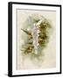 One of the Christmas Tree Fairy's Duties is to Light the Candles on the Tree-null-Framed Art Print