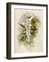 One of the Christmas Tree Fairy's Duties is to Light the Candles on the Tree-null-Framed Art Print