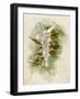 One of the Christmas Tree Fairy's Duties is to Light the Candles on the Tree-null-Framed Art Print
