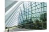 One of the Futuristic Conservatories at the Gardens by the Bay Botanical Gardens, Marina Bay-Fraser Hall-Mounted Photographic Print