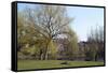 One of the Highgate Ponds, Hampstead Heath, London-Natalie Tepper-Framed Stretched Canvas