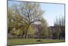 One of the Highgate Ponds, Hampstead Heath, London-Natalie Tepper-Mounted Photo