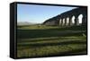 One of the Largest Aqueducts in Rome Built in the Year 38 Bc, Rome, Lazio, Italy, Europe-Oliviero Olivieri-Framed Stretched Canvas