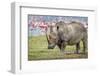 One of the last-Jeffrey C. Sink-Framed Photographic Print