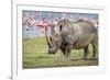 One of the last-Jeffrey C. Sink-Framed Photographic Print