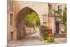 One of the Old Gates to the Village of Noyers Sur Serein in Yonne, Burgundy, France, Europe-Julian Elliott-Mounted Photographic Print