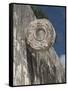 One of the Stone Hoops in the Great Ball Court, Chichen Itza, Yucatan-Richard Maschmeyer-Framed Stretched Canvas