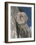 One of the Stone Hoops in the Great Ball Court, Chichen Itza, Yucatan-Richard Maschmeyer-Framed Photographic Print