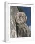 One of the Stone Hoops in the Great Ball Court, Chichen Itza, Yucatan-Richard Maschmeyer-Framed Photographic Print