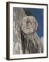 One of the Stone Hoops in the Great Ball Court, Chichen Itza, Yucatan-Richard Maschmeyer-Framed Photographic Print