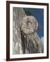 One of the Stone Hoops in the Great Ball Court, Chichen Itza, Yucatan-Richard Maschmeyer-Framed Photographic Print