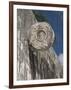 One of the Stone Hoops in the Great Ball Court, Chichen Itza, Yucatan-Richard Maschmeyer-Framed Photographic Print