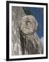 One of the Stone Hoops in the Great Ball Court, Chichen Itza, Yucatan-Richard Maschmeyer-Framed Photographic Print