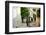 One of the Street in Montmartre, Paris, France-Lemsip-Framed Photographic Print