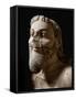 One of the Three Heads of the Monster Fighting against Herakles-null-Framed Stretched Canvas