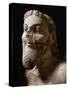 One of the Three Heads of the Monster Fighting against Herakles-null-Stretched Canvas