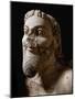 One of the Three Heads of the Monster Fighting against Herakles-null-Mounted Photographic Print