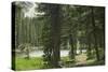 One of the Trampas Lakes High in the Pecos Wilderness, Sangre De Cristo Mountains-null-Stretched Canvas