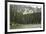 One of the Trampas Lakes High in the Pecos Wilderness, Sangre De Cristo Mountains-null-Framed Photographic Print