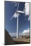 One of the Turbines with a Person for Scale-Nick-Mounted Photographic Print