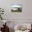 One of the Twelve Hot Air Balloons Takes Flight at Mount Crested Butte, Colorado-null-Photographic Print displayed on a wall