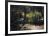 One of Those Lazy Afternoons-Heidi Westum-Framed Photographic Print
