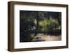 One of Those Lazy Afternoons-Heidi Westum-Framed Photographic Print