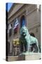 One of Two Bronze Lion Statues Outside the Art Institute of Chicago-Amanda Hall-Stretched Canvas