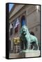 One of Two Bronze Lion Statues Outside the Art Institute of Chicago-Amanda Hall-Framed Stretched Canvas