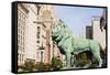 One of Two Iconic Bronze Lion Statues Outside the Art Institute of Chicago, Chicago, Illinois, USA-Amanda Hall-Framed Stretched Canvas