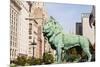 One of Two Iconic Bronze Lion Statues Outside the Art Institute of Chicago, Chicago, Illinois, USA-Amanda Hall-Mounted Photographic Print