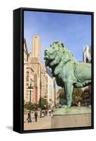 One of Two Iconic Bronze Lion Statues Outside the Art Institute of Chicago, Chicago, Illinois, USA-Amanda Hall-Framed Stretched Canvas