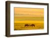 One on One-John Fan-Framed Photographic Print