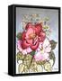 One Red and One Pink Rose-Joan Thewsey-Framed Stretched Canvas