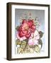 One Red and One Pink Rose-Joan Thewsey-Framed Giclee Print