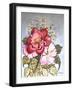 One Red and One Pink Rose-Joan Thewsey-Framed Giclee Print